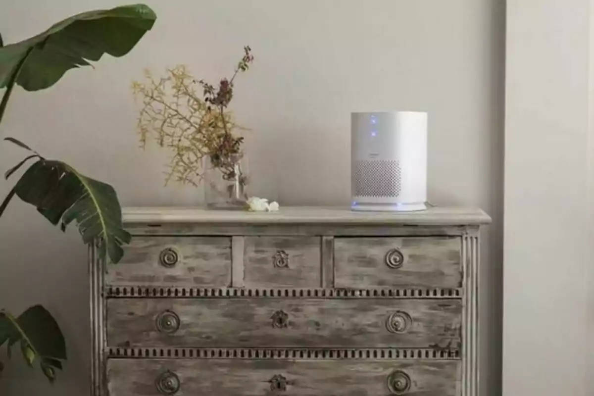 Purificador d’aire blanc encès sobre una còmoda de fusta envellida al costat d’un gerro amb branques seques i una planta de fulles grans al costat.