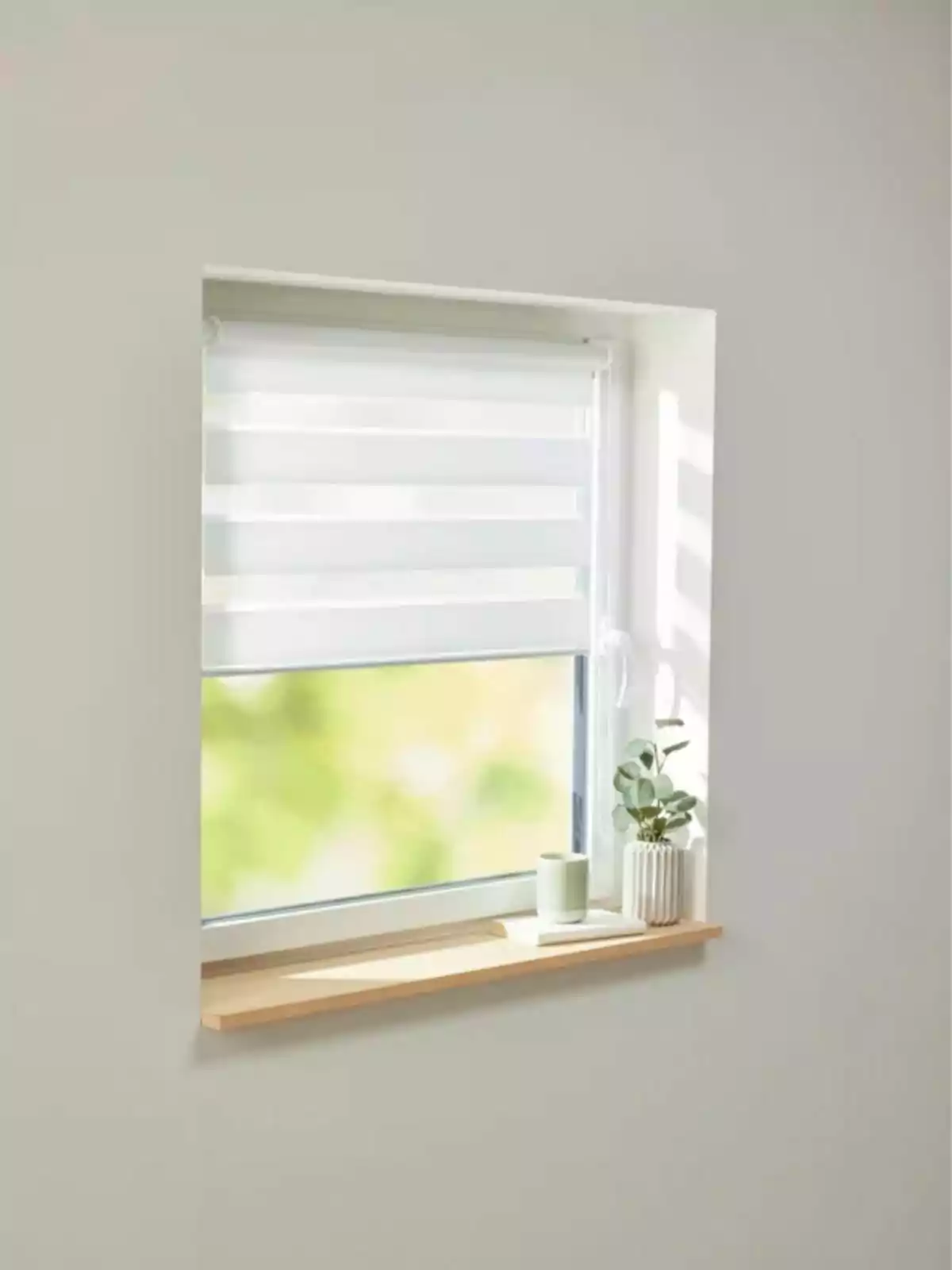 Window with a partially lowered white roller blind and a wooden sill holding a cup and a potted plant Window with a partially lowered white roller blind and a wooden sill holding a cup and a potted plant