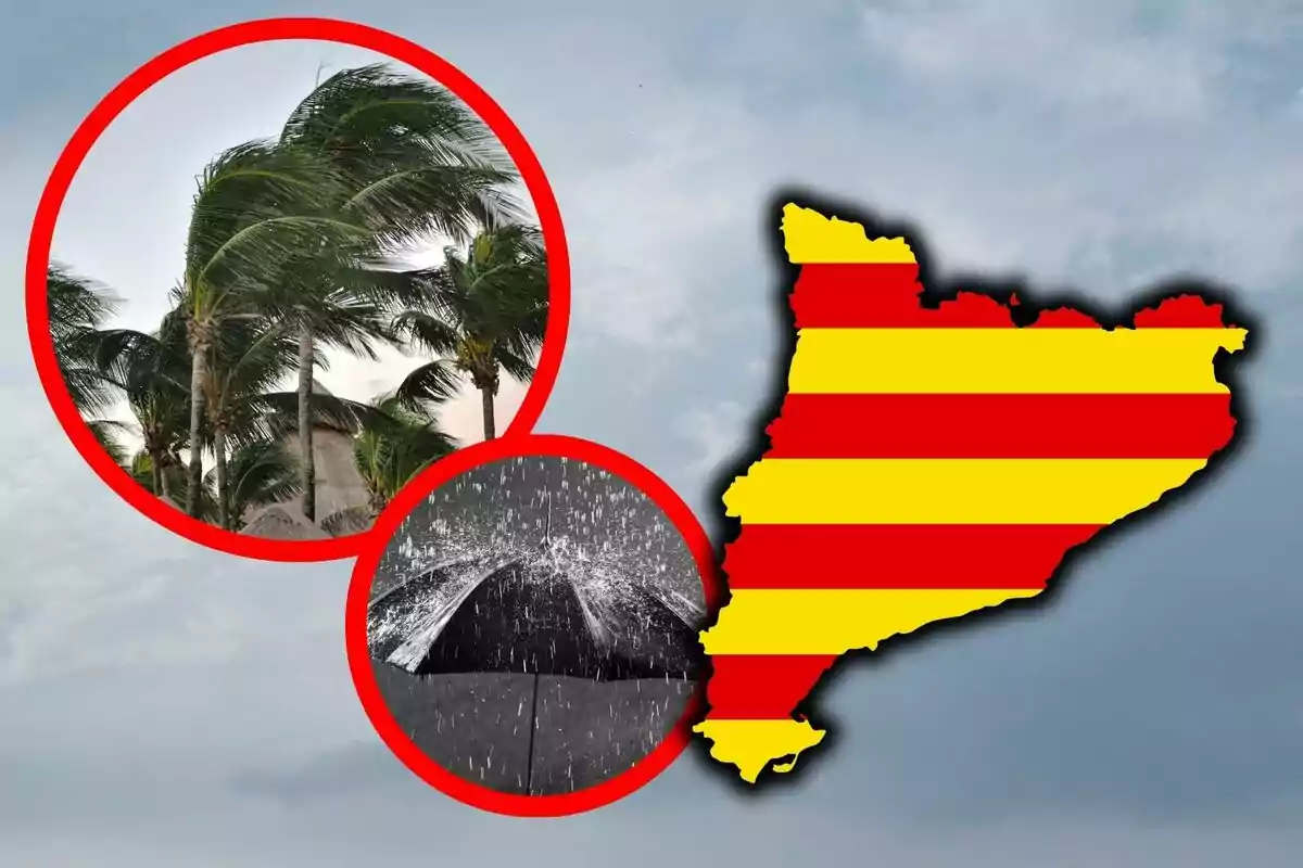 Mapa de Catalunya amb franges vermelles i grogues al costat de dos cercles que mostren palmeres doblegades pel vent i un paraigua sota la pluja.
