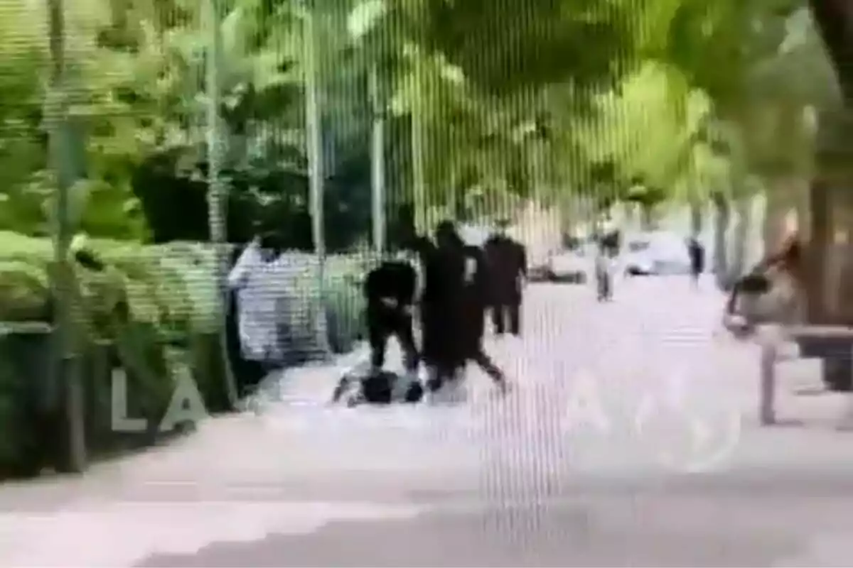 Varias personas en una calle arbolada mientras una de ellas parece estar en el suelo y otras la rodean