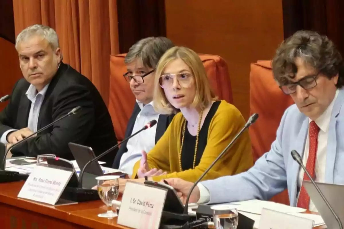 Cuatro personas sentadas en una mesa de conferencia con micrófonos y documentos, participando en una reunión formal