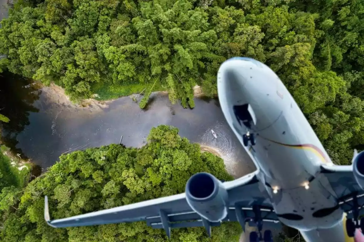 Avión volando sobre un río rodeado de vegetación densa y árboles verdes