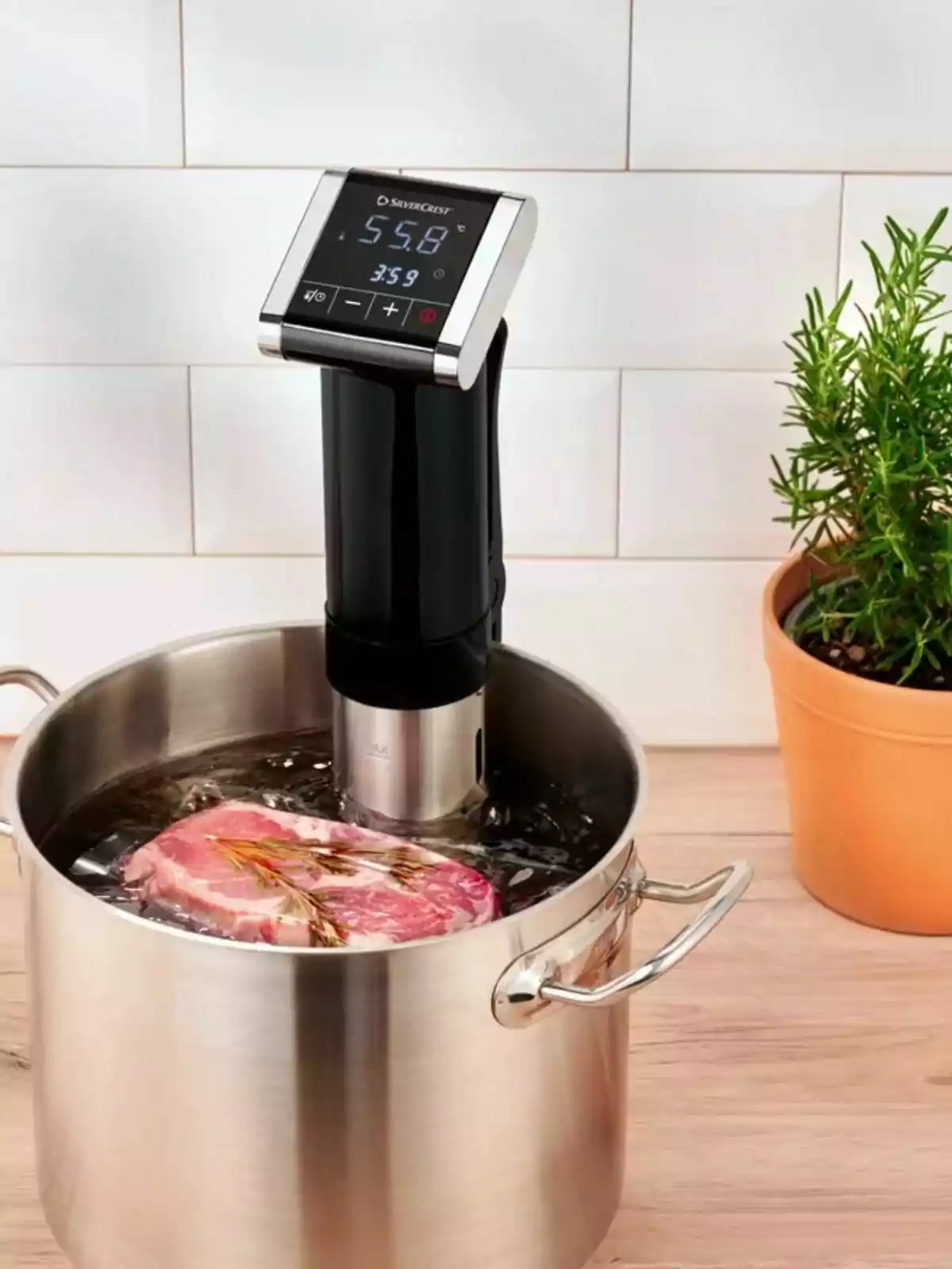 Stainless steel pot with a sous vide cooking a vacuum-sealed piece of meat next to a potted plant on a wooden table Stainless steel pot with a sous vide cooking a vacuum-sealed piece of meat next to a potted plant on a wooden table