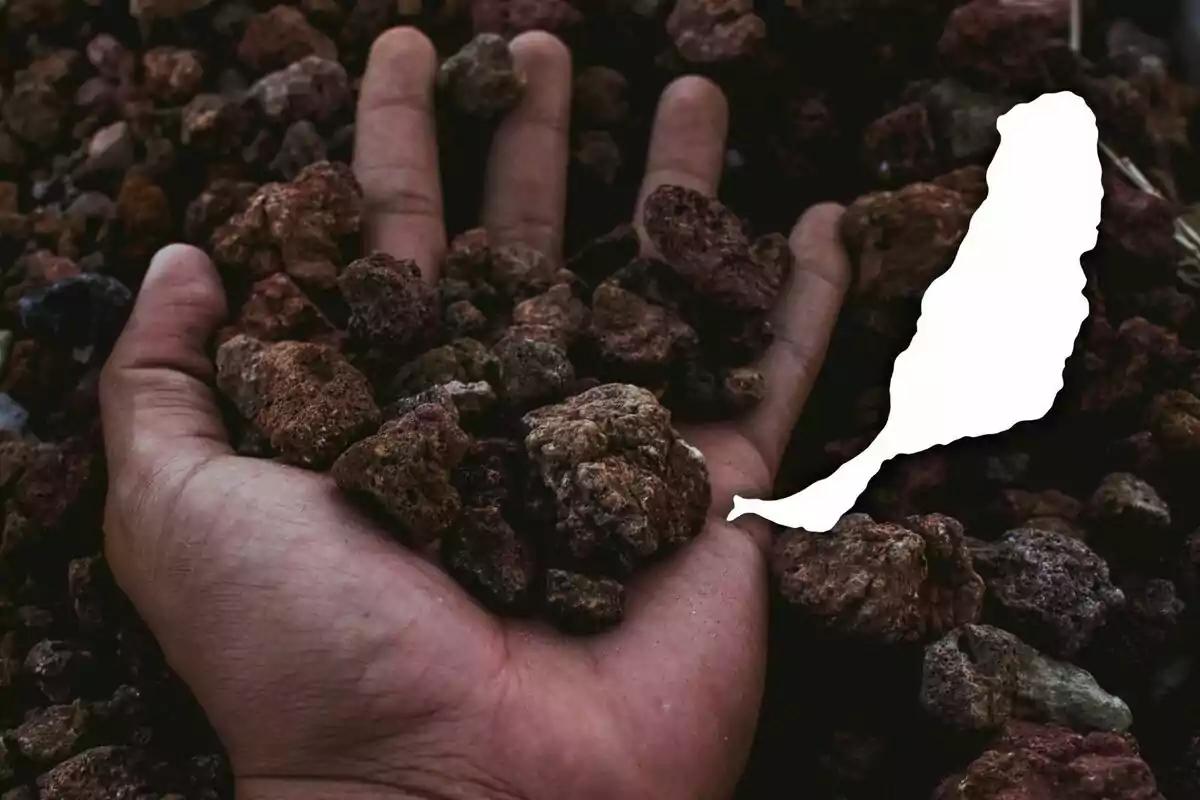 Mà sostenint pedres volcàniques amb la silueta blanca d’una illa superposada, que és Fuerteventura.