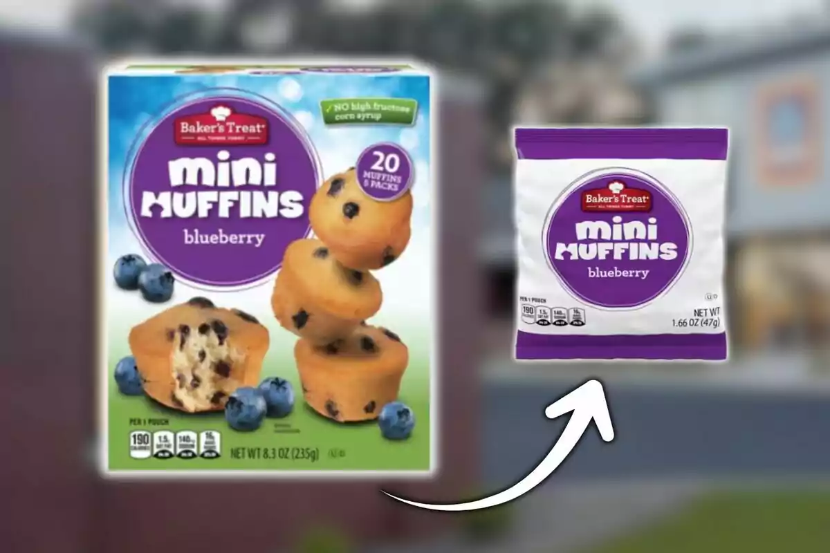Individual box and package of Baker's Treat brand mini blueberry muffins, sold at Aldi, with an illustration of muffins and blueberries on the box.