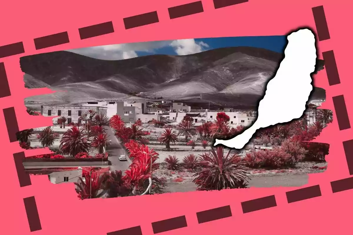 Vista d’un poble amb palmeres i muntanyes al fons, situat a Fuerteventura, sobre un fons rosa amb un contorn blanc d’una illa superposat a la dreta.