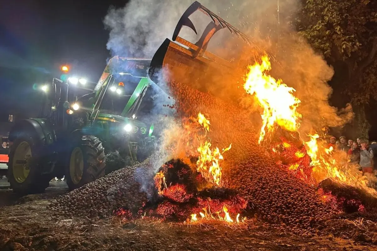 Tractor nocturno descargando una gran montaña de castañas sobre una hoguera mientras las llamas y el humo iluminan a un grupo de personas que observa a un lado