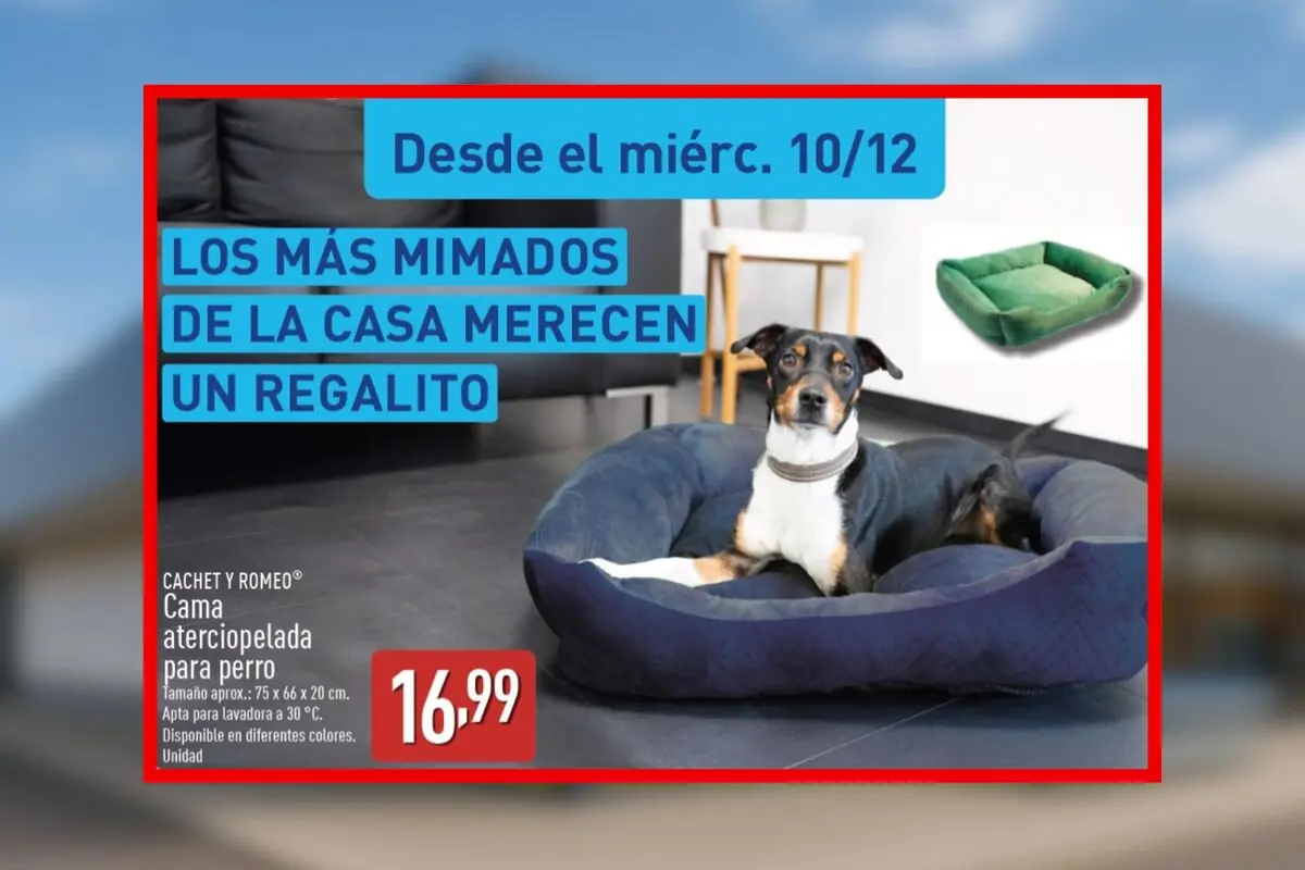 Perro acostado en una cama aterciopelada azul para mascotas de Aldi con un anuncio que destaca una oferta especial y el precio de 16,99 euros.