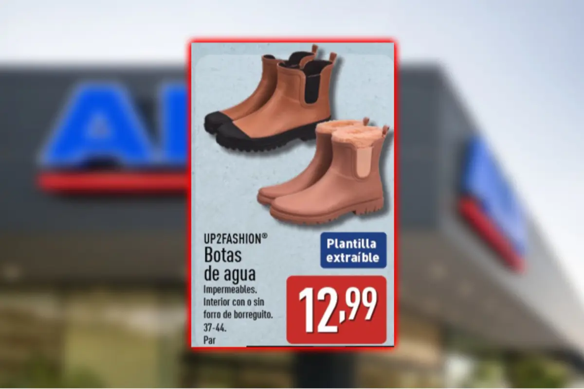Anuncio de botas de agua UP2FASHION color marrón para mujer con opción de forro de borreguito plantilla extraíble tallas 37 a 44 precio 12,99 euros Anuncio de botas de agua UP2FASHION color marrón para mujer con opción de forro de borreguito plantilla extraíble tallas 37 a 44 precio 12,99 euros