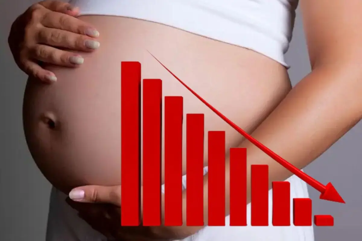 Ventre de dona embarassada amb un gràfic de barres vermelles en descens i una fletxa cap avall que simbolitza la caiguda de la natalitat