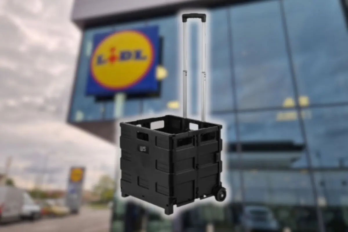 Black folding cart with wheels and a telescopic handle in front of a blurred Lidl supermarket façade