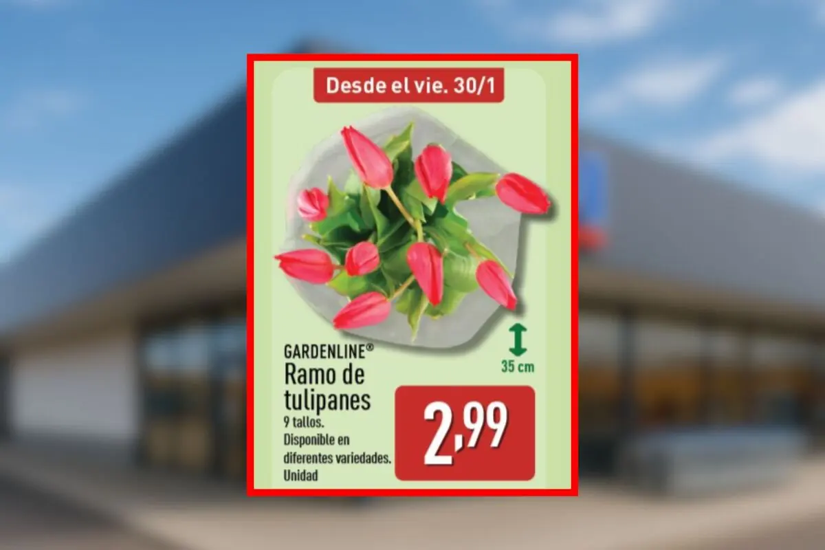 Folleto de Aldi en el que aparece un ramo de tulipanes Gardenline de 9 tallos a 2,99 euros disponible desde el viernes, 30 de enero.