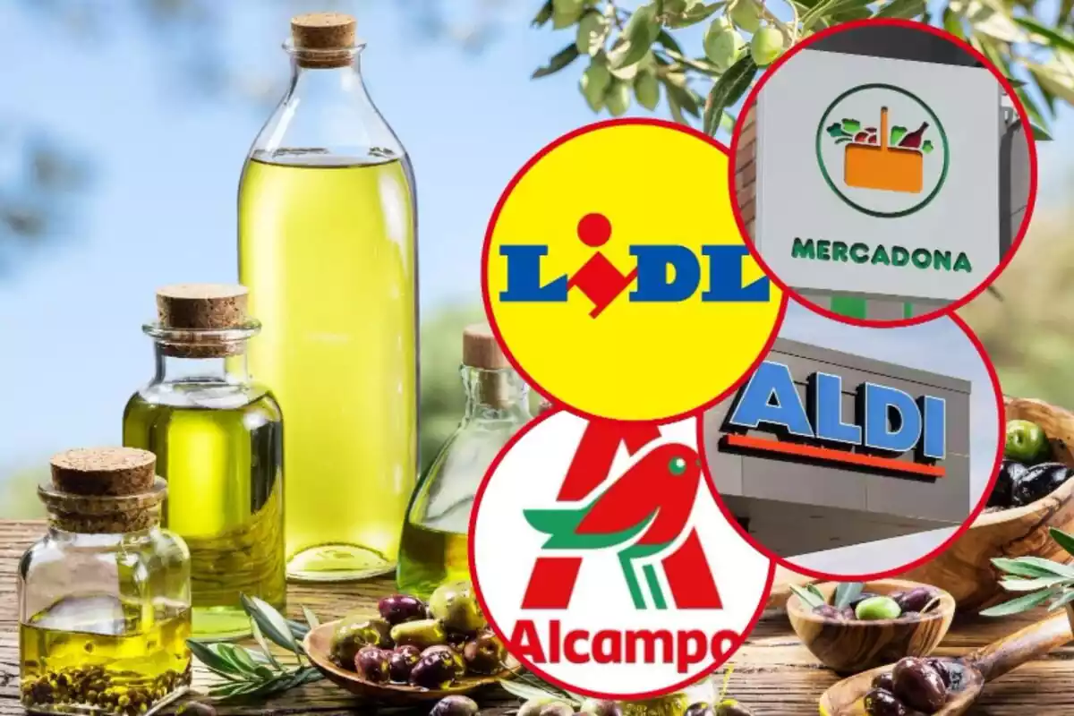 Oli d'oliva i els logos de Mercadona, Lidl, Aldi i Alcampo
