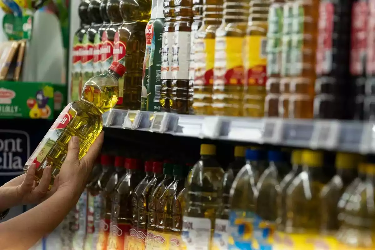 Una persona sosté una ampolla d?oli mentre observa una prestatgeria plena de diferents marques d?oli en un supermercat.