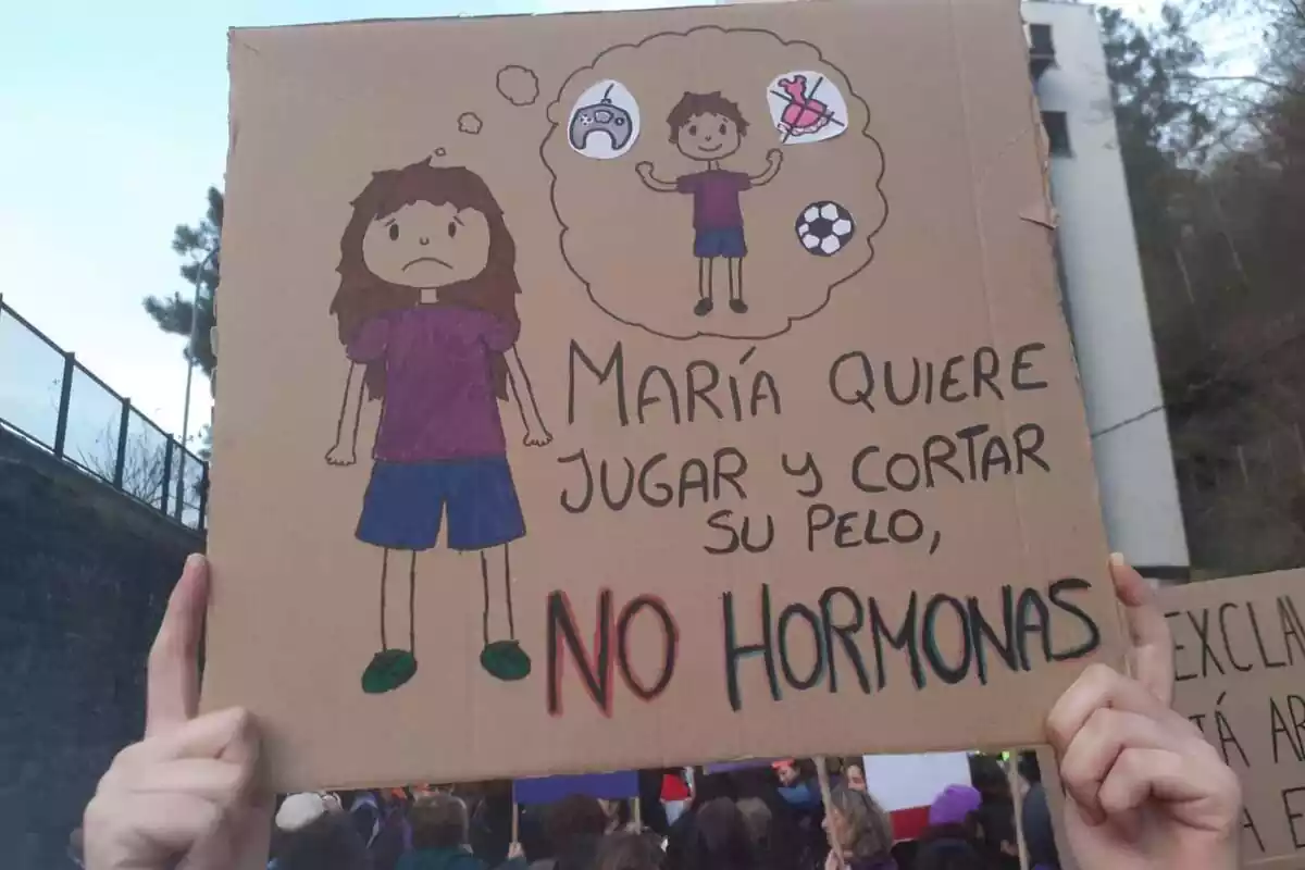 Unes mans subjecten un cartell amb la frase "Maria vol jugar i tallar els cabells, no hormones" en una manifestació contra la Llei Trans