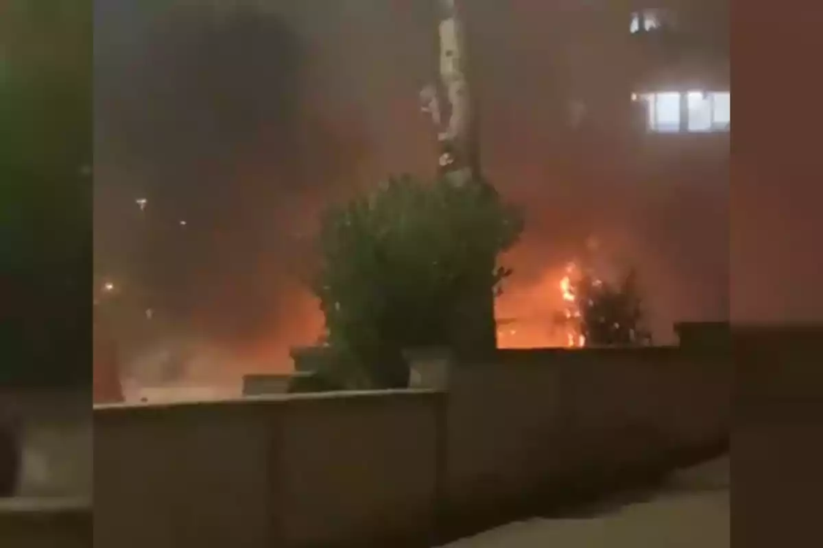 Una escena nocturna mostra un incendi darrere un arbust i un arbre en un carrer.