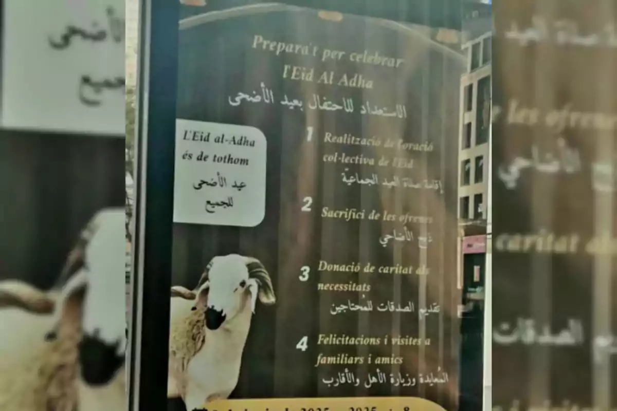 Cartell informatiu sobre la celebració de l’Eid al-Adha en diversos idiomes amb una ovella a la part inferior i una llista d’activitats relacionades amb la festivitat.