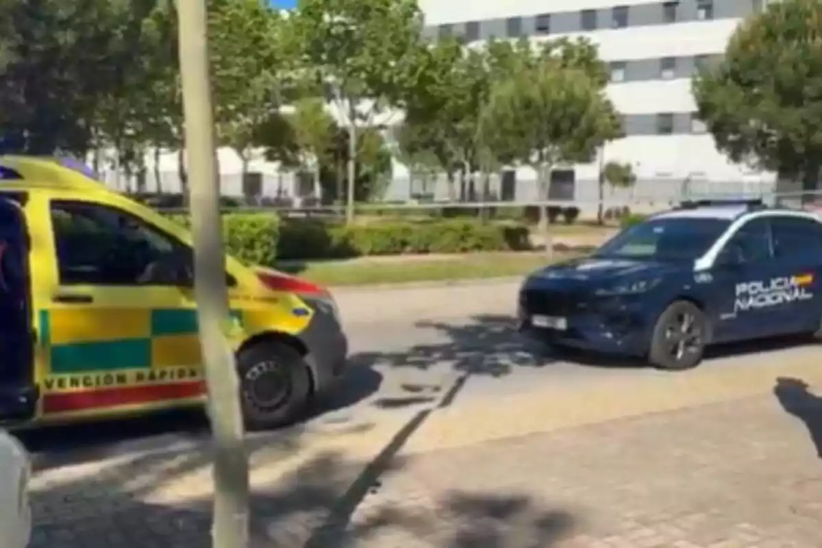 Una ambulància groga i un cotxe de la Policia Nacional estan estacionats en un carrer arbrat davant d'un edifici blanc. Una ambulància groga i un cotxe de la Policia Nacional estan estacionats en un carrer arbrat davant d'un edifici blanc.