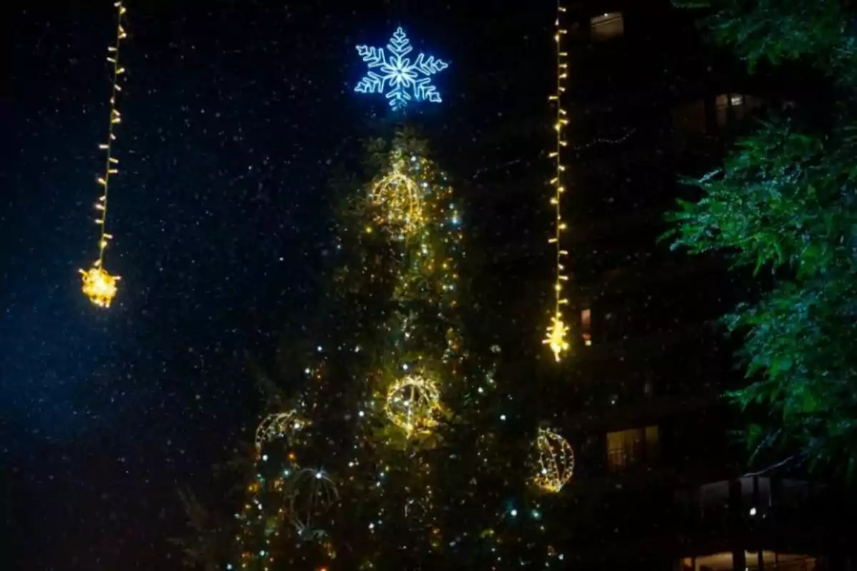 Arbre de Nadal il·luminat amb llums i una estrella al cim durant la nit.