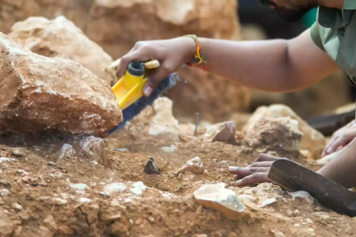 Una persona utilitzant un raspall per netejar acuradament una àrea d'excavació arqueològica. Una persona utilitzant un raspall per netejar acuradament una àrea d'excavació arqueològica.