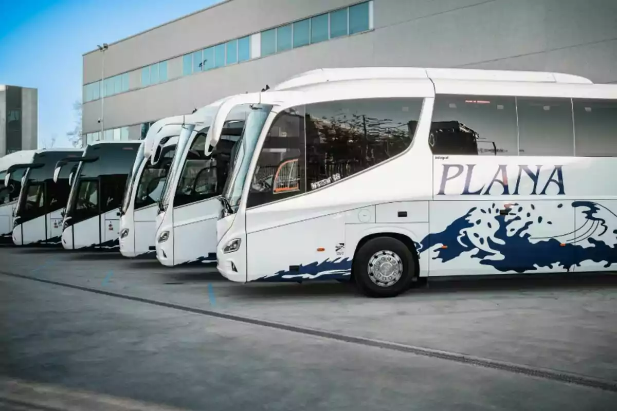 Una fila d?autobusos blancs estacionats al costat d?un edifici.