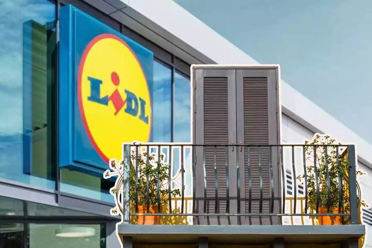Balcó i un supermercat de Lidl