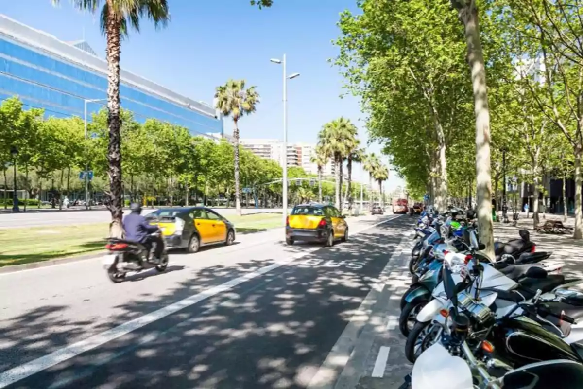 Un carrer arbrat amb palmeres, motocicletes estacionades i vehicles en moviment en un dia assolellat.