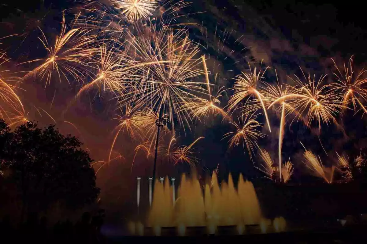 Imatge de l´espectacle de focs artificials que se celebra a Barcelona per fi d´any