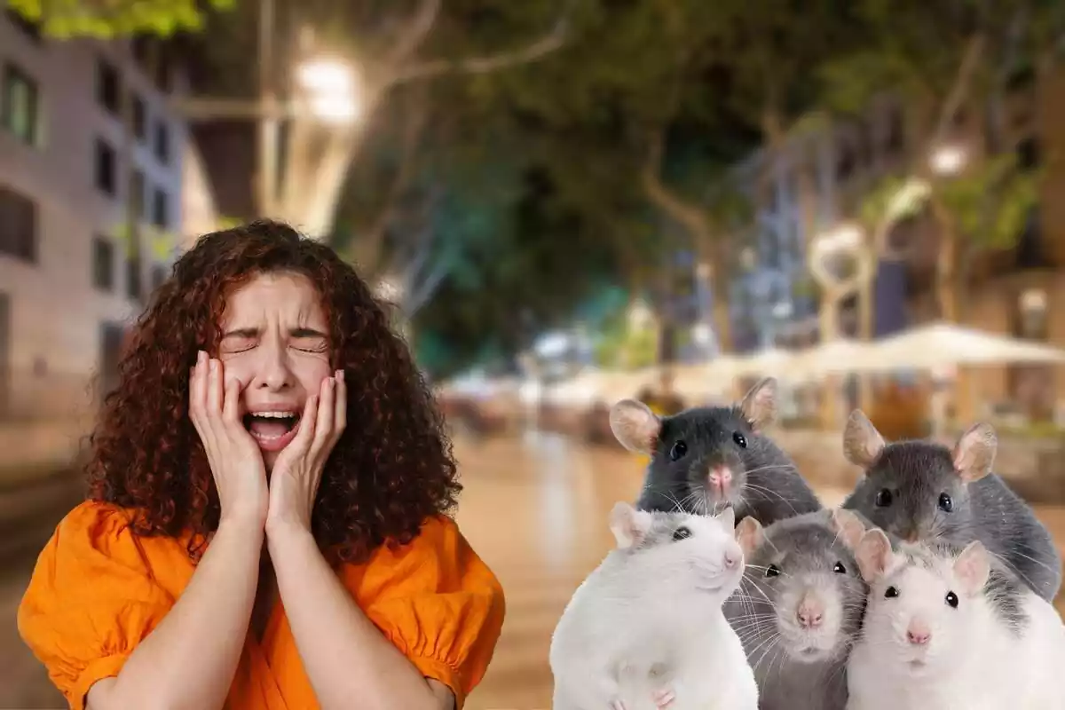 Muntatge de dona cridant espantada a Barcelona per una plaga de rates de fins i tot cinc juntes.