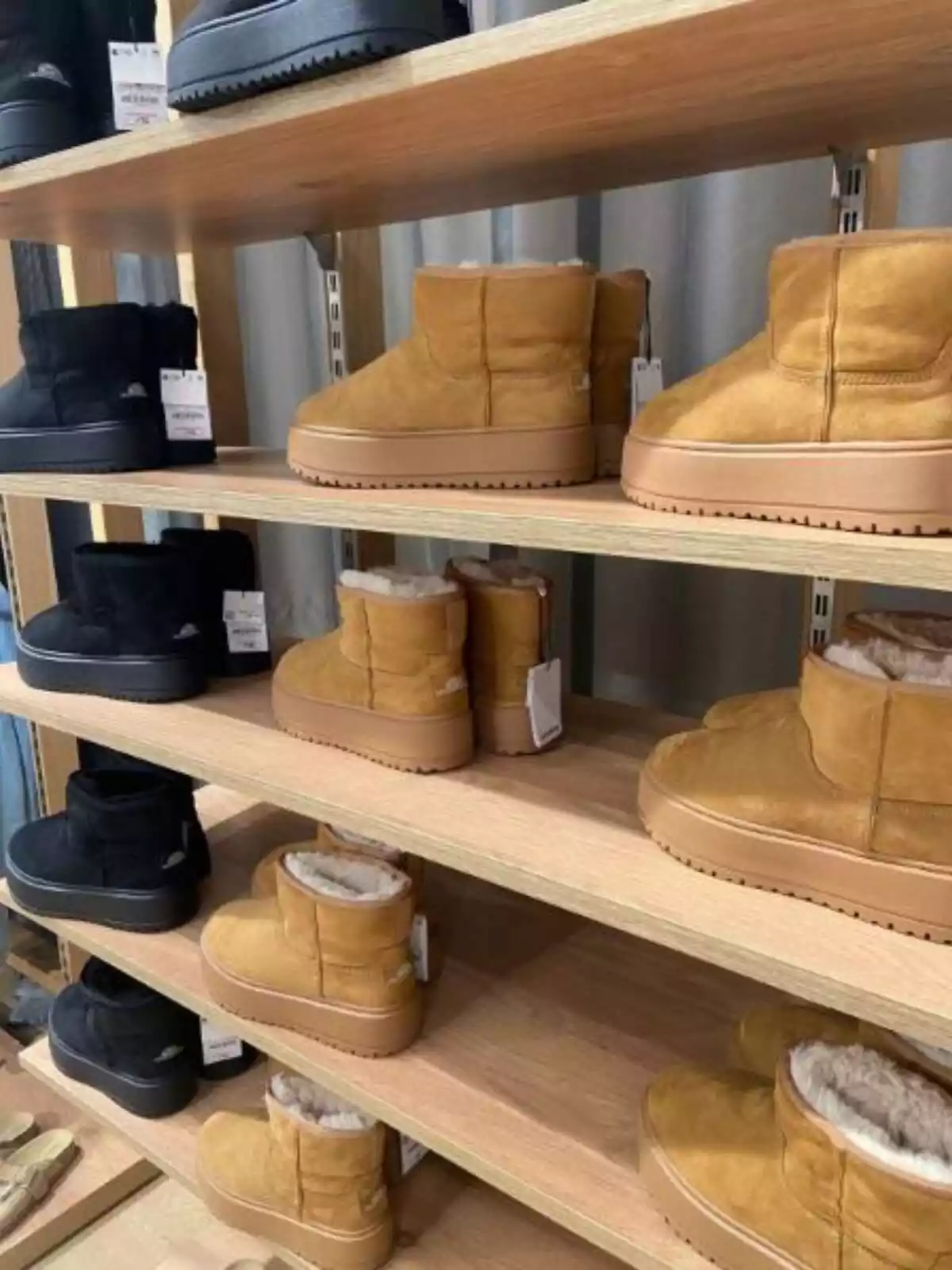 Imatge de diversos botins de Bershka exposats en una prestatgeria Imatge de diversos botins de Bershka exposats en una prestatgeria