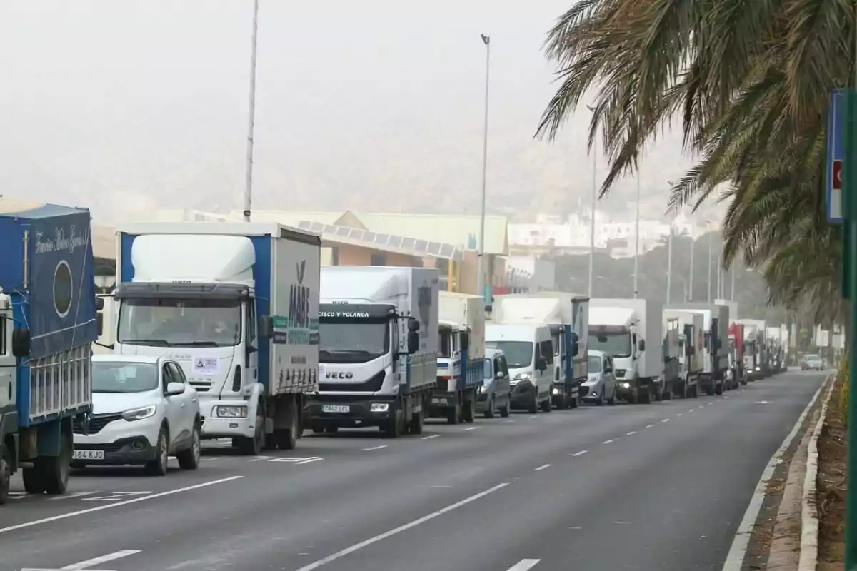 Les organitzacions agràries Asaja, COAG, UPA i les organitzacions de comercialització Coexphal i Ecohal convoquen una concentració de camions i vehicles agrícoles a Almeria. A l'esplanada del Port d'Almeria.