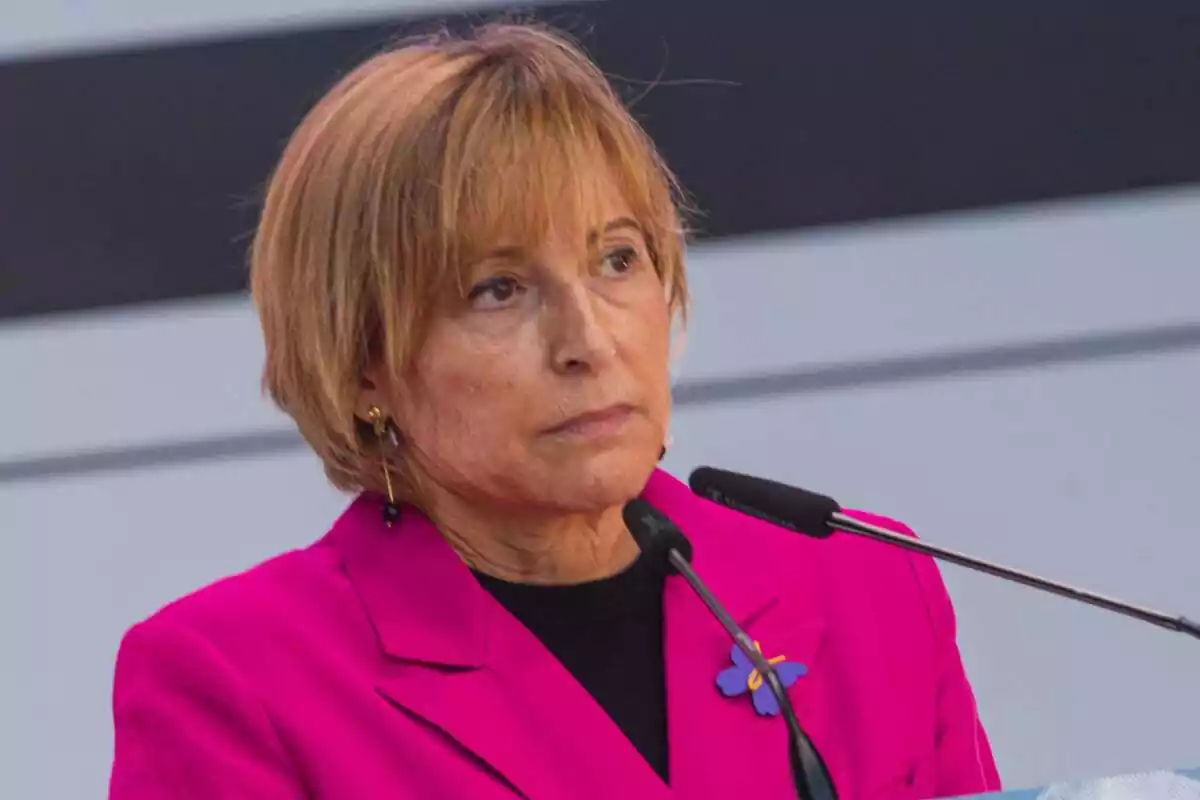 Pla mig curt de Carme Forcadell mirant a l'horitzó davant de dos micròfons