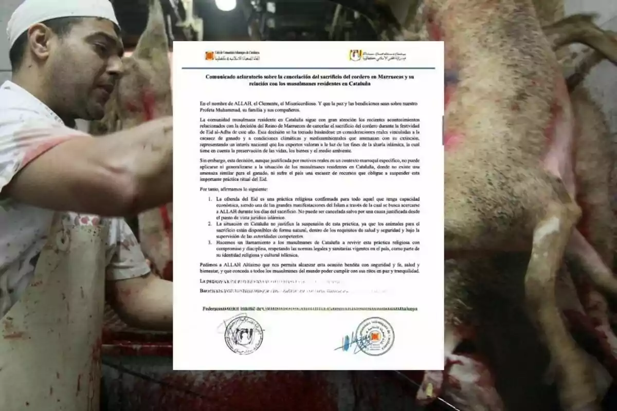 A butcher works on the slaughter of a lamb while an official statement about the cancellation of this ritual in Morocco and its impact on the Muslim community in Catalonia is displayed in the foreground. A butcher works on the slaughter of a lamb while an official statement about the cancellation of this ritual in Morocco and its impact on the Muslim community in Catalonia is displayed in the foreground.
