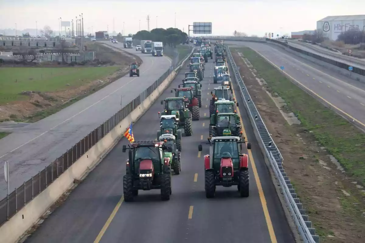 Carretera A-2 plena de tractors en circulació a Alcarràs
