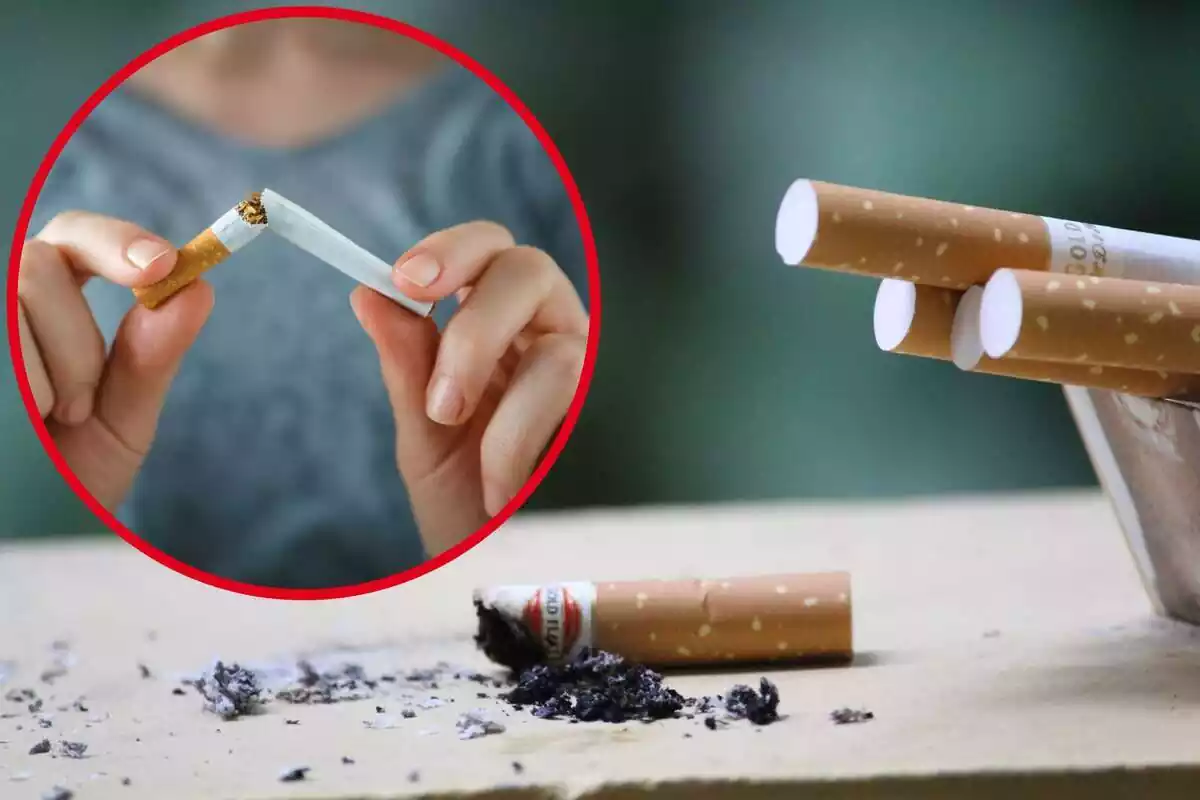 Imatge de fons d'unes cigarretes i una altra imatge en primer pla d'una persona trencant una cigarreta