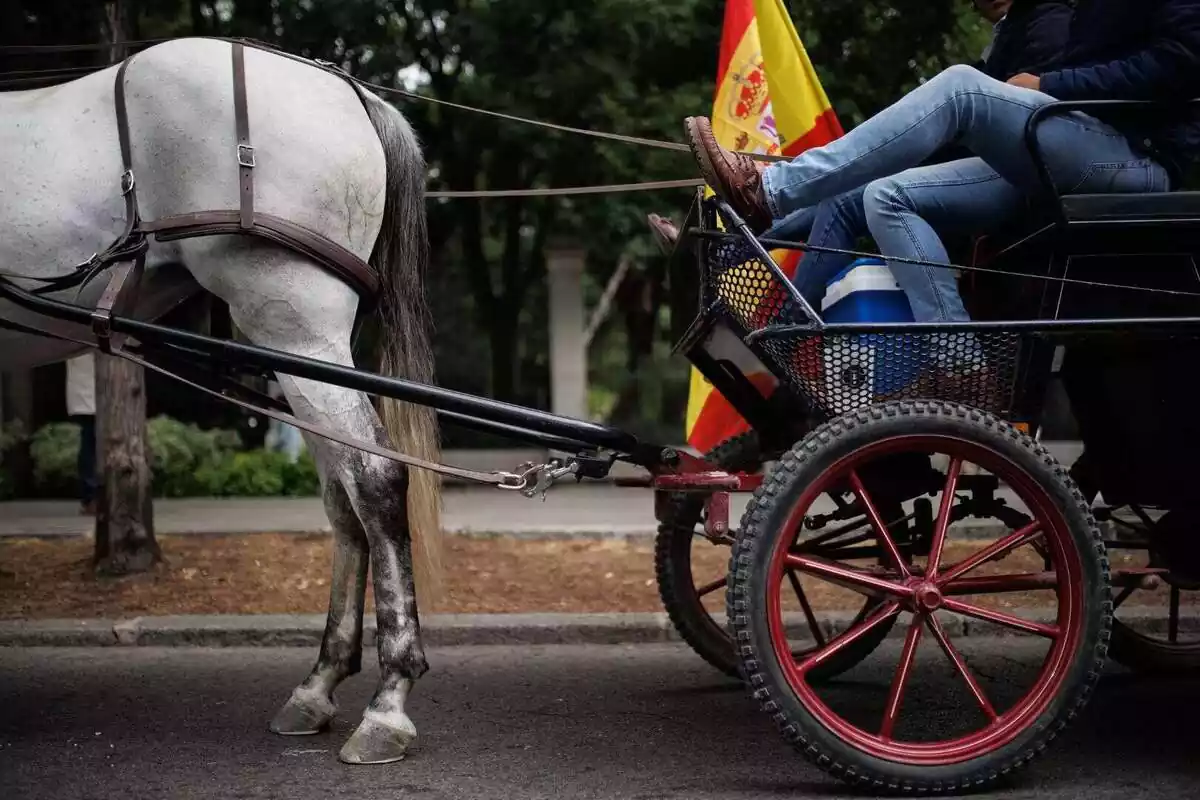 Un home amb cotxe de cavalls durant la manifestació per la defensa del territori rural i el sector primari