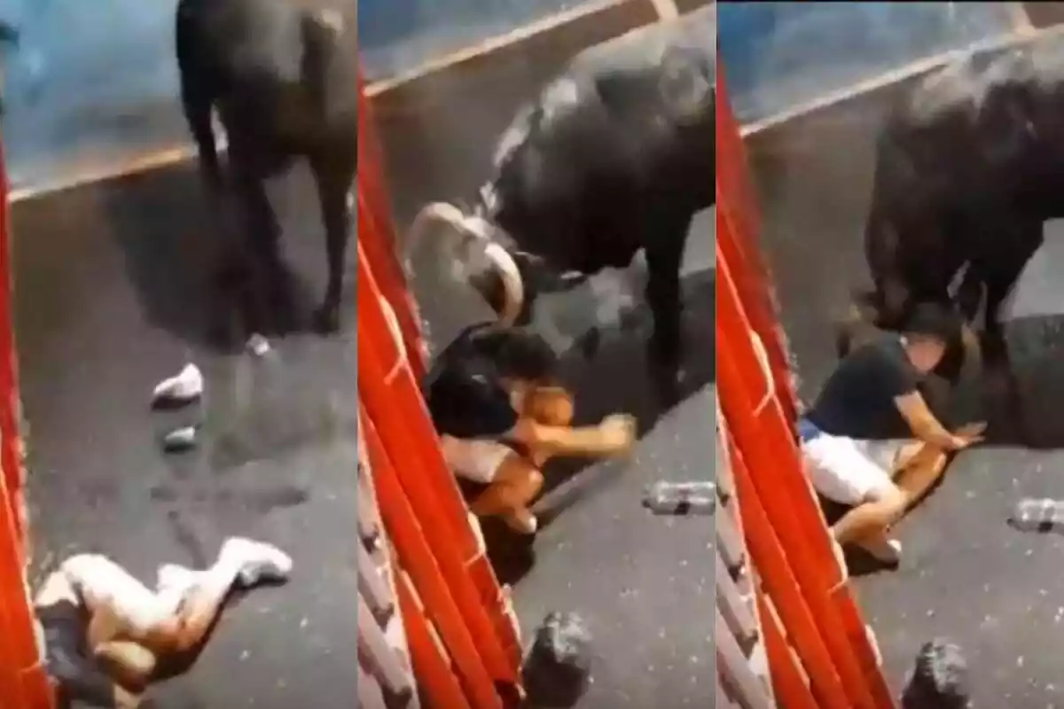 Muntatge de fotos d'una agafada als 'bous al carrer'