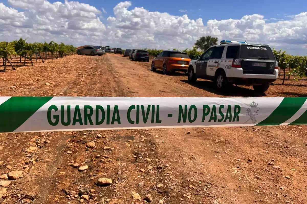 Cordó de la Guàrdia Civil en una vinya a Ciudad Real