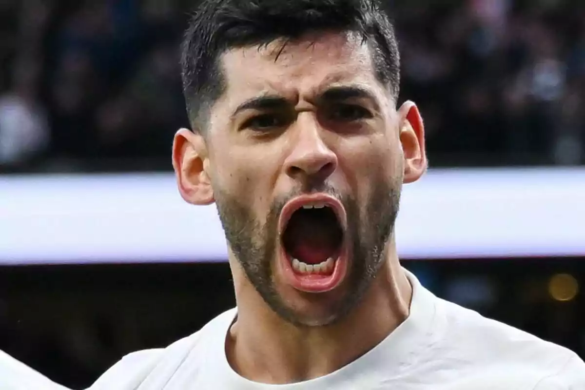 A man with an expression of intense emotion during a sporting event. A man with an expression of intense emotion during a sporting event.