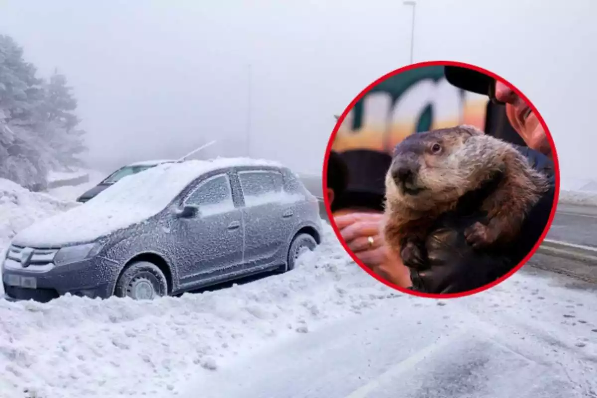 Muntatge amb un cotxe nevat i una marmota als braços d'un senyor fosc