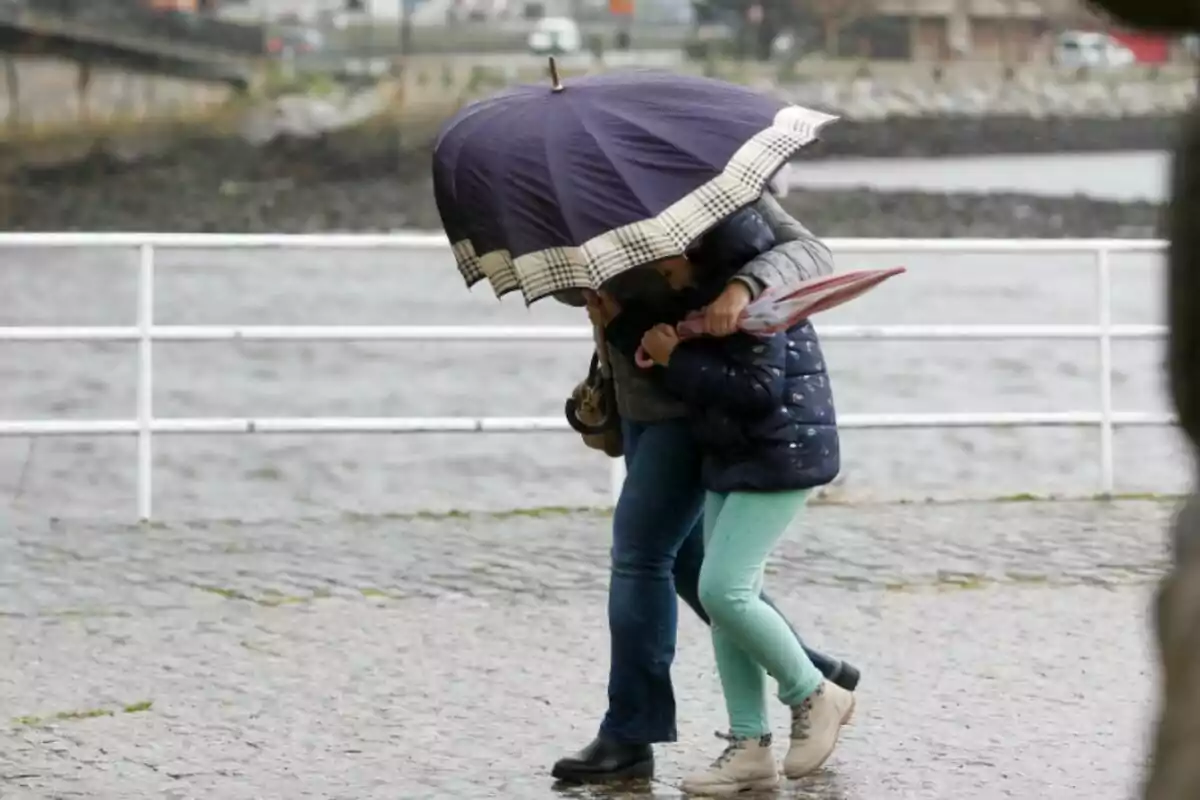 Two people walking in the rain sharing a large umbrella near a body of water.