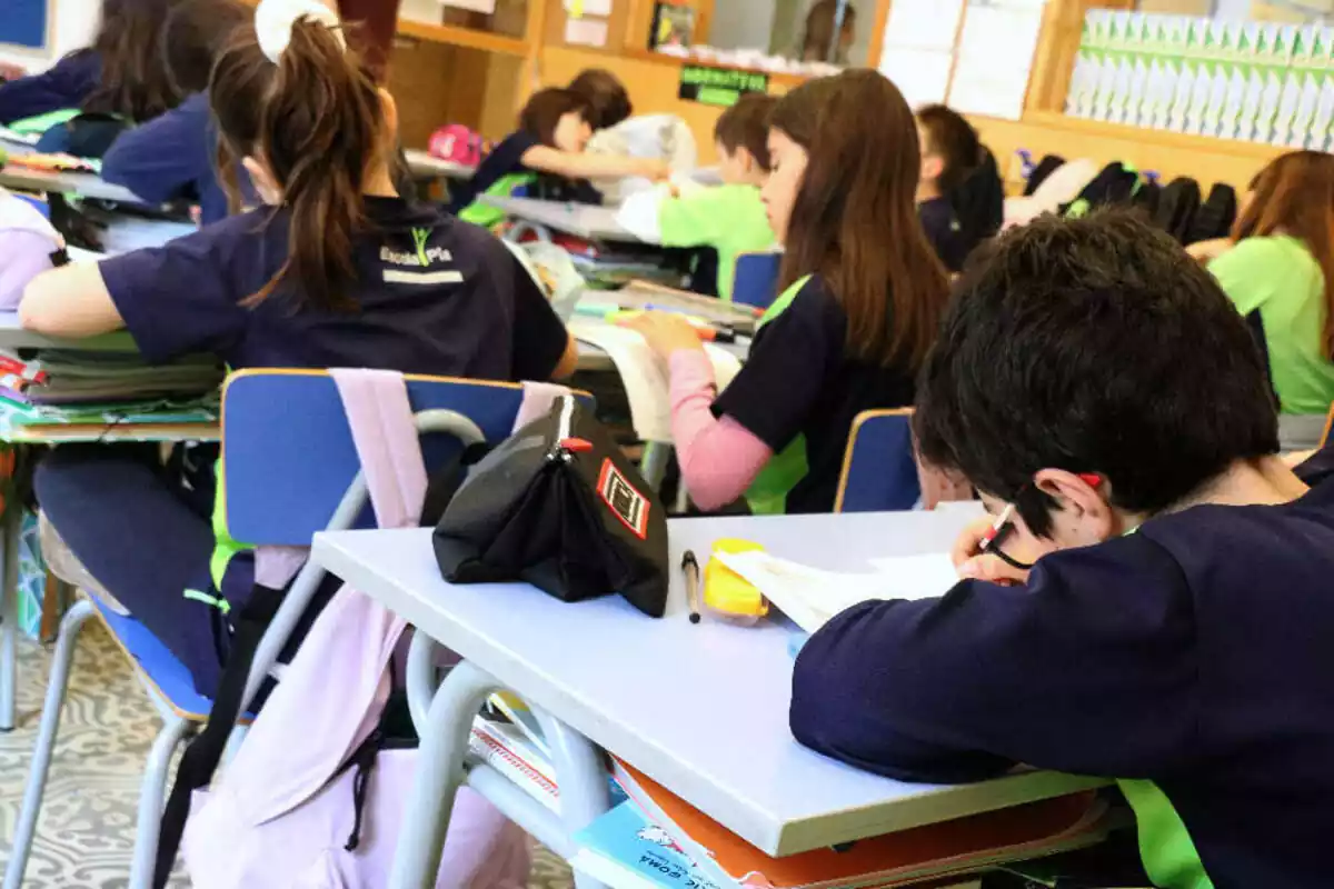 Nens d'esquenes fent els deures en una clase d'un col·legi català
