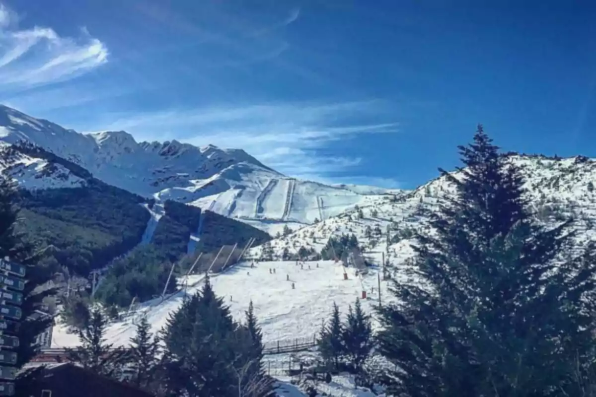 Muntanya nevada amb pistes d´esquí i arbres en primer pla sota un cel blau.