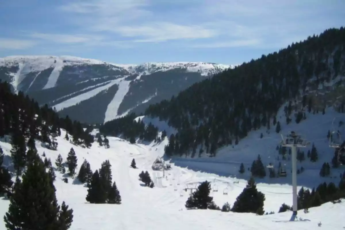 Paisatge nevat de muntanya amb pistes d´esquí i telecadires envoltats d´arbres.