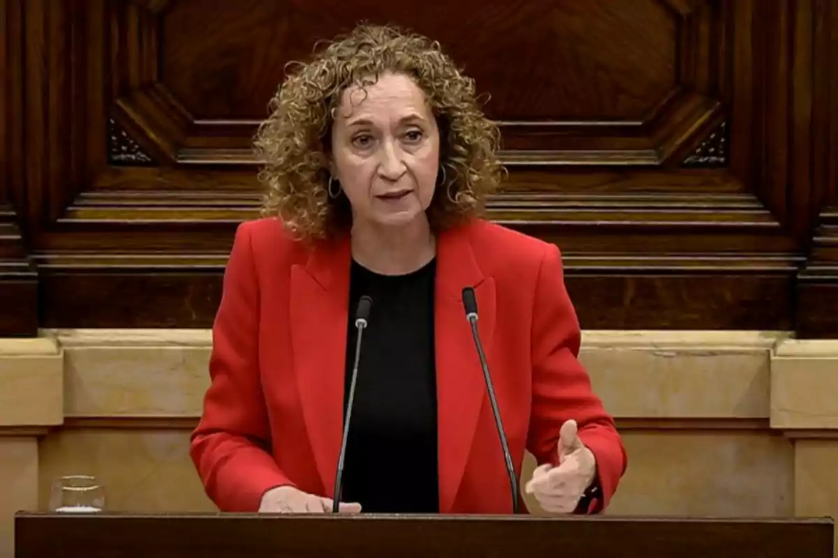 A person in a red jacket speaking at a podium with microphones in a wooden setting.