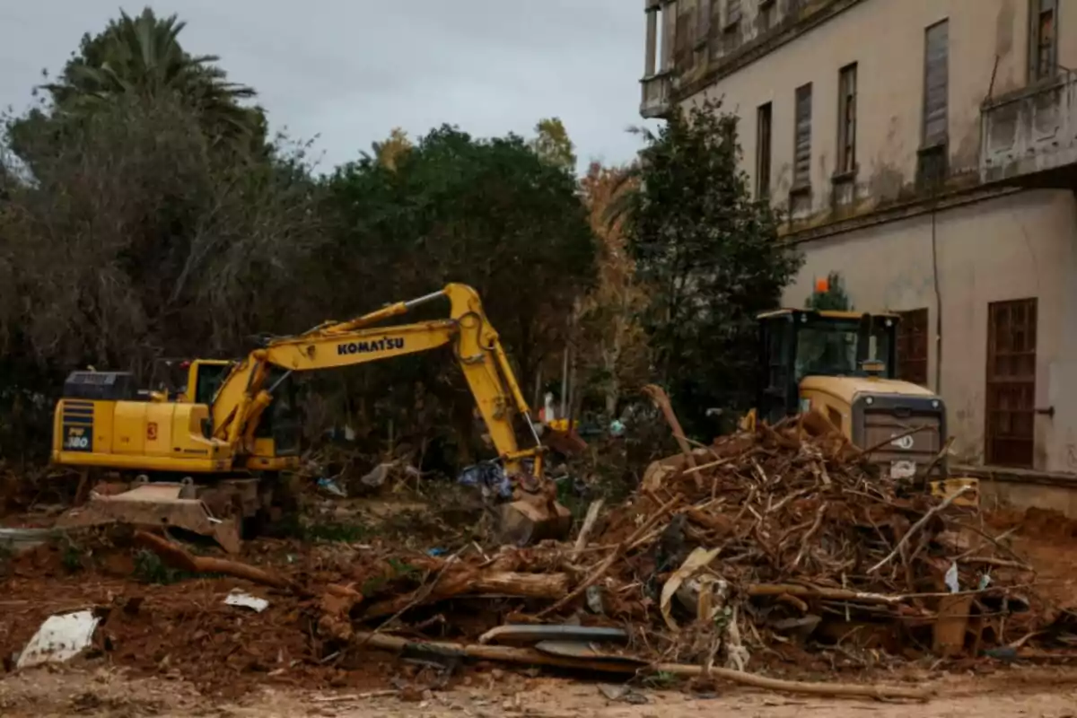 Una excavadora groga i una màquina de construcció treballen en un lloc ple de runes i vegetació a prop d'un edifici antic.