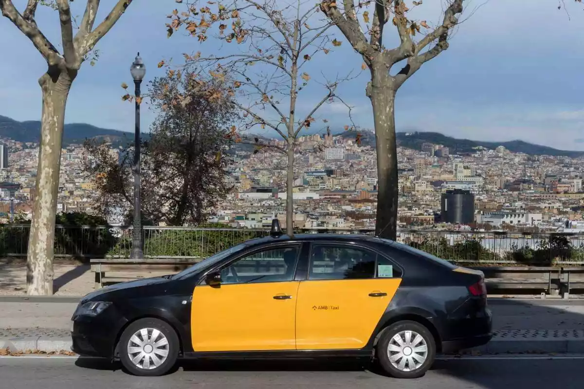 Foto d'un taxi a primer pla i de fons les vistes de la ciutat de Barcelona