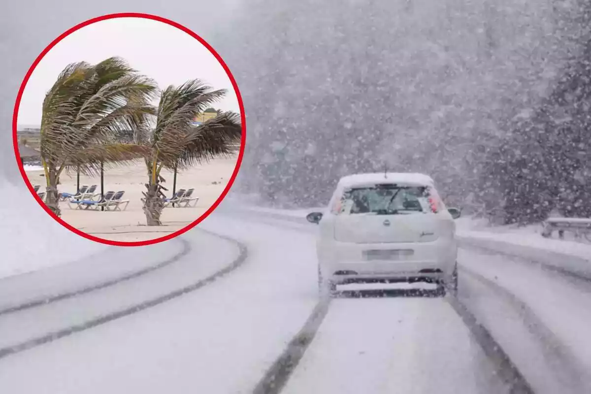 Fotomuntatge amb una imatge de fons d´un cotxe circulant per la neu i una rodona vermella amb palmeres amb vent