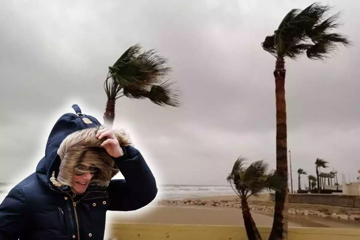 Fotomuntatge d'una dona al capdavant tapada i patint un temporal de vent, i al fons unes palmeres en una platja afectades pel vent