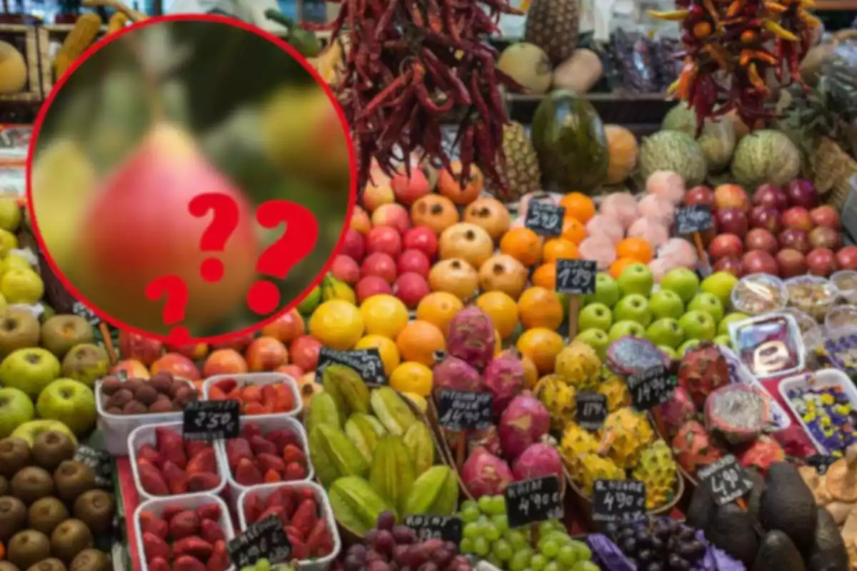 Fotomuntatge amb una parada del mercat de la Boqueria de Barcelona de fruites i una rodona vermella al capdavant amb una pera difuminada i tres interrogacions
